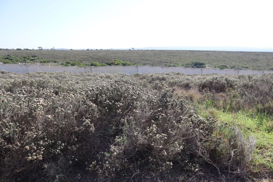 0 Bedroom Property for Sale in Blue Waters Estate Eastern Cape